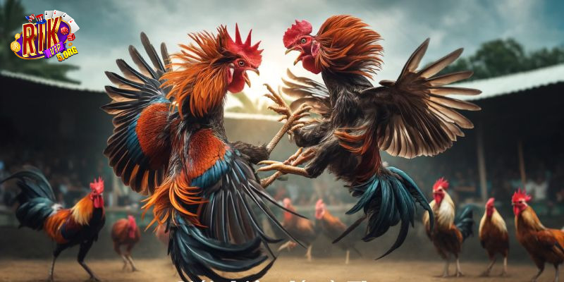 Tối ưu hóa cơ hội thắng lớn nhờ vào tỷ lệ cược cạnh tranh